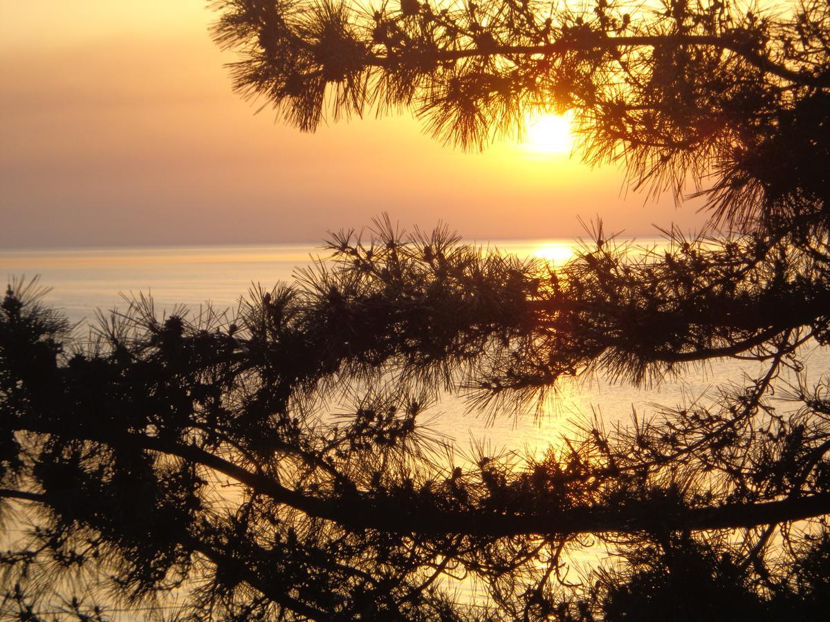 Marshal Resort Kobuleti Zewnętrze zdjęcie